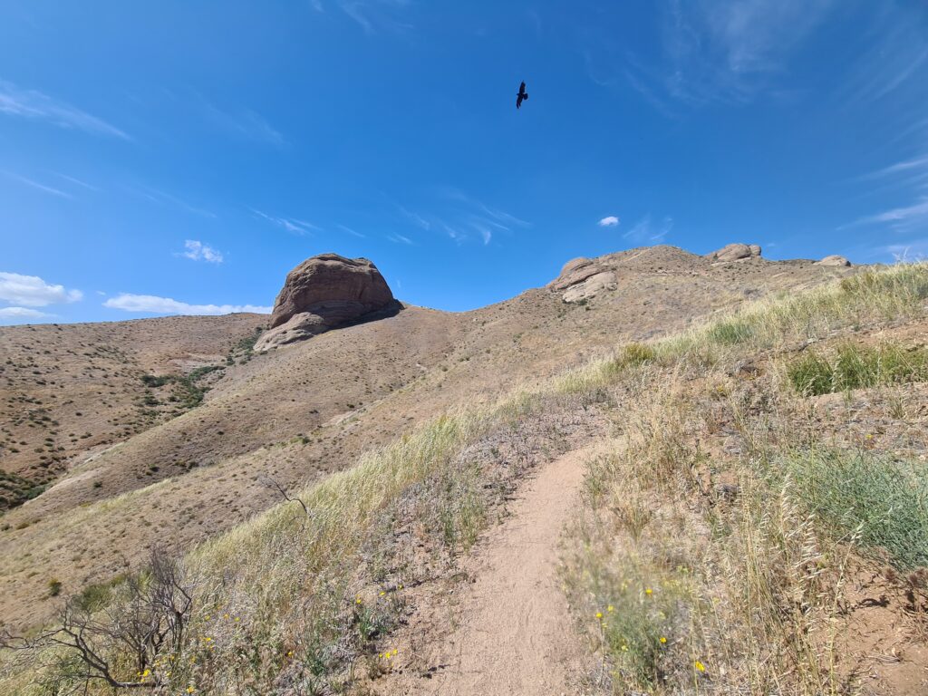 PCT Tag 27