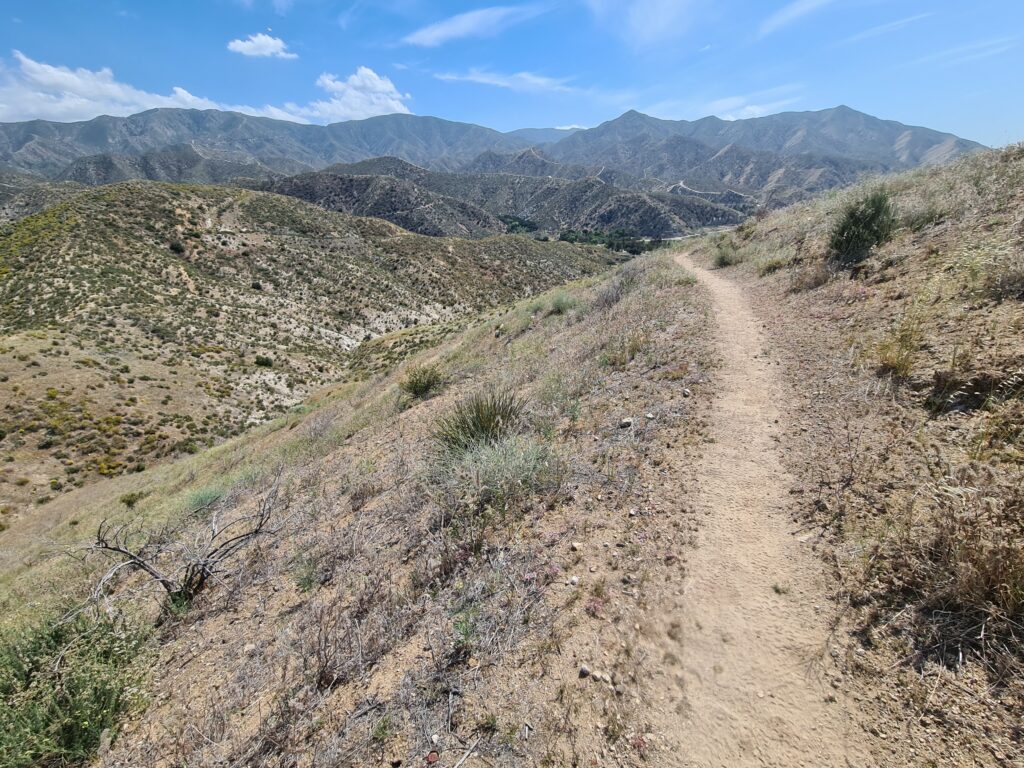 PCT Tag 27