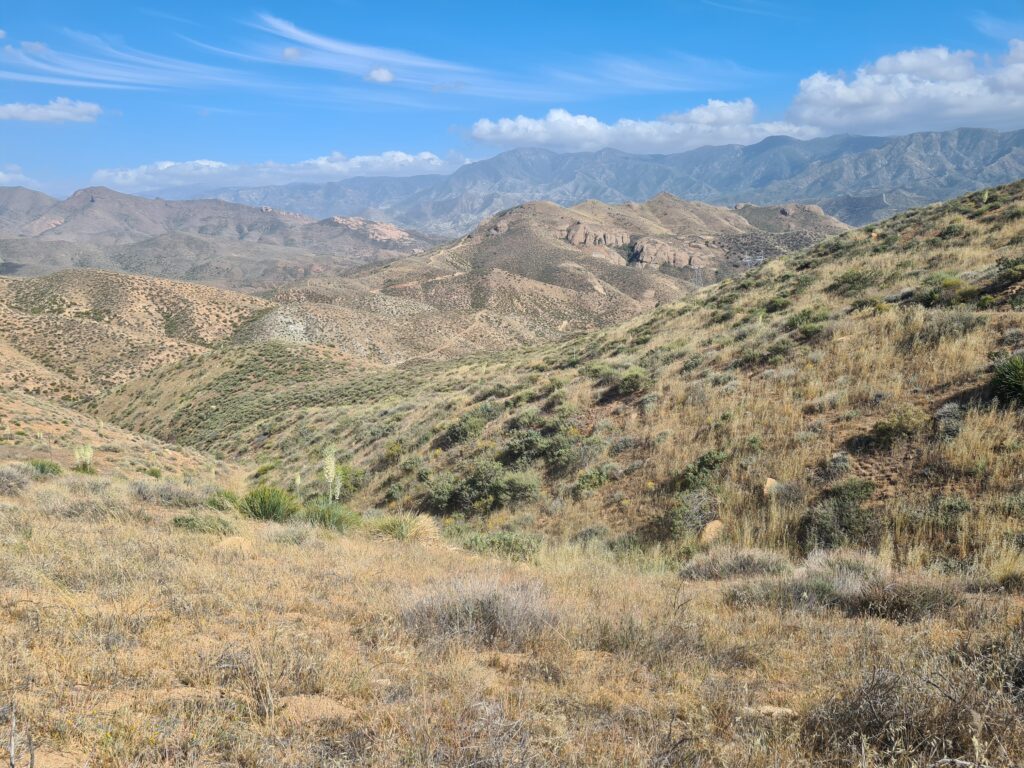 PCT Tag 27
