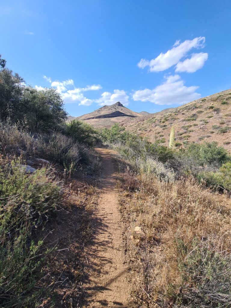 PCT Tag 27