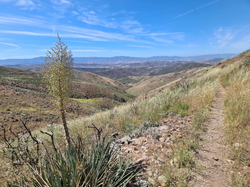 PCT Tag 28