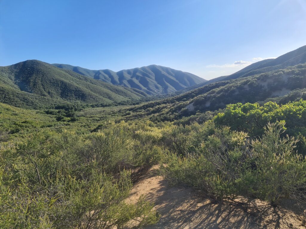 PCT Tag 28