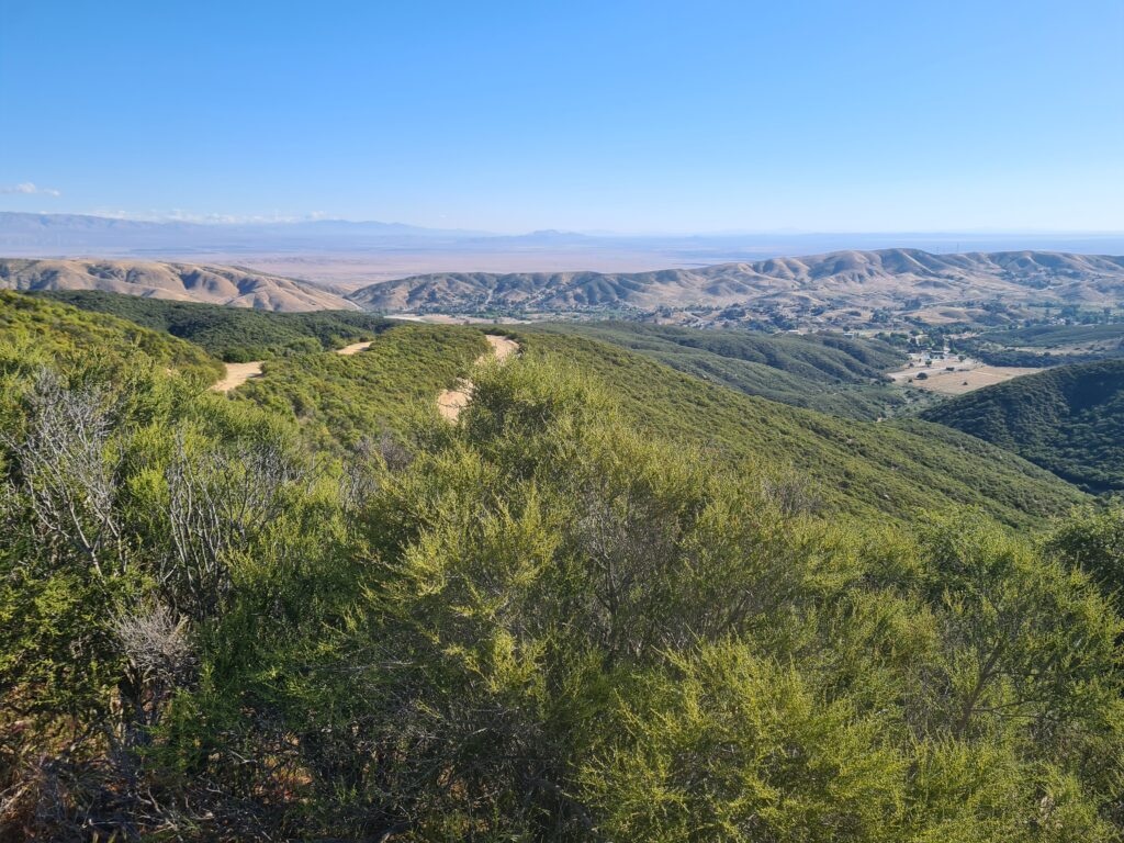 PCT Tag 29
