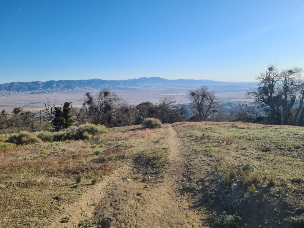PCT Tag 30