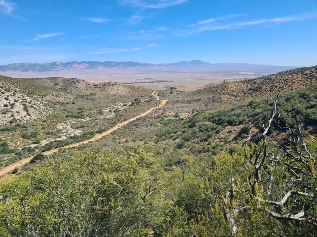 PCT Tag 30