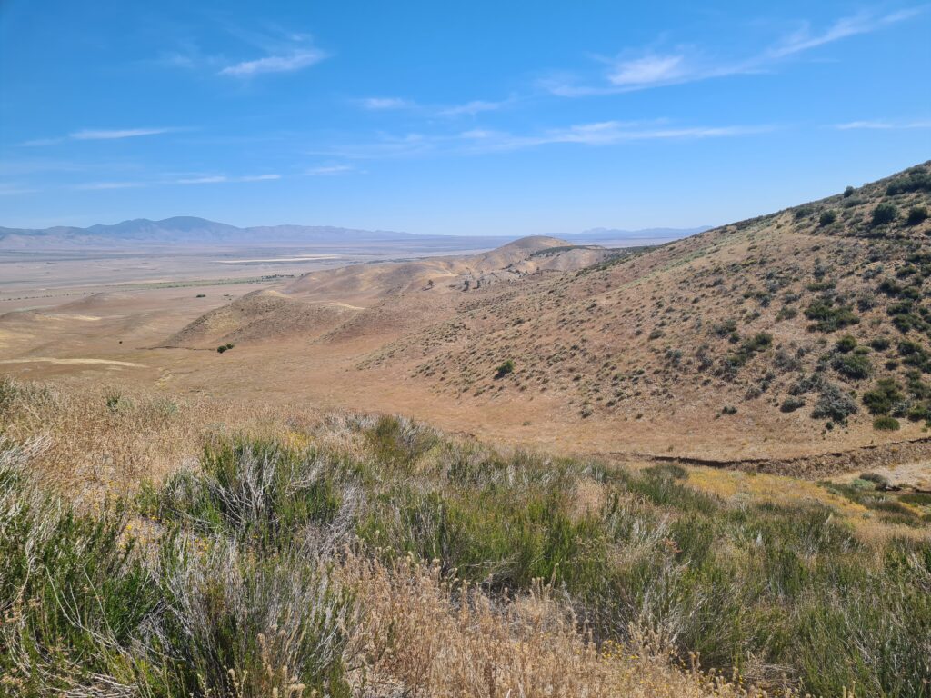 PCT Tag 30