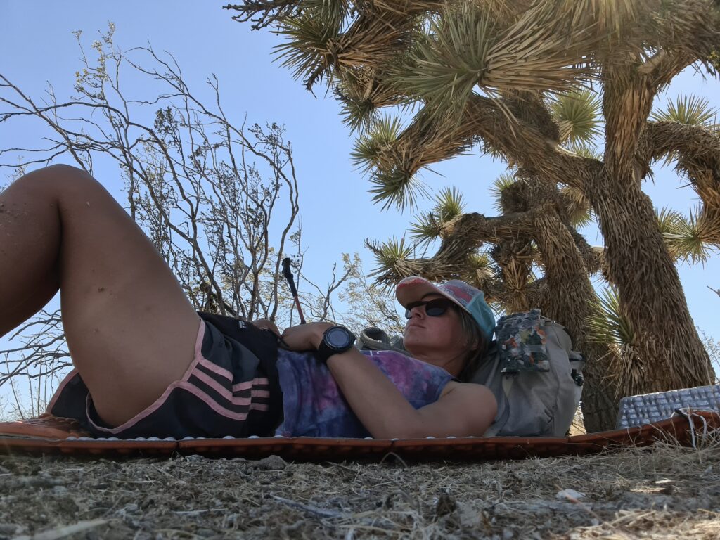 Pause im Schatten eines Joshua Trees