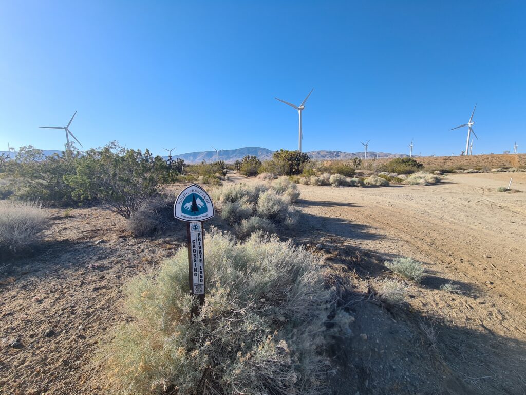 PCT Tag 31