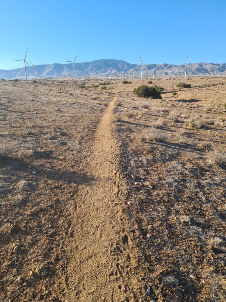 Trail in die Berge von Tehachapi