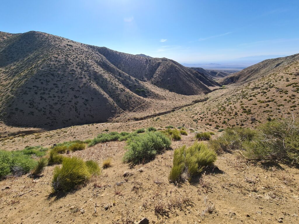 PCT Tag 32