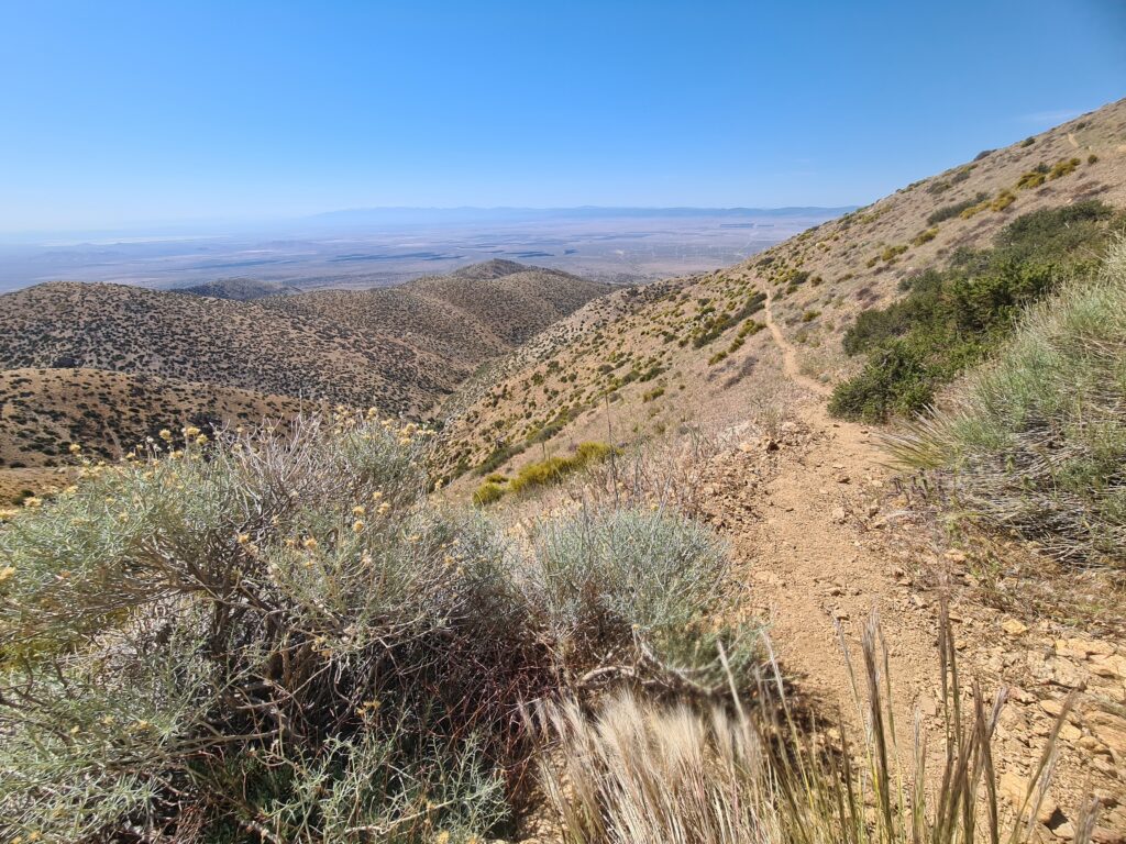 PCT Tag 32
