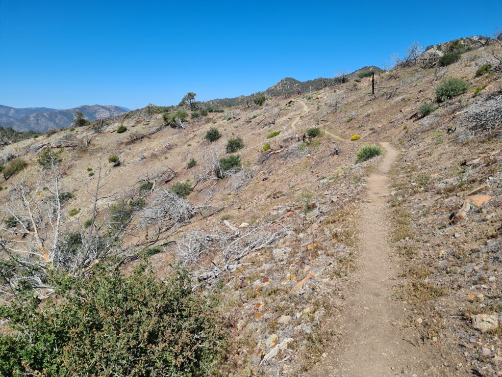 PCT Tag 34