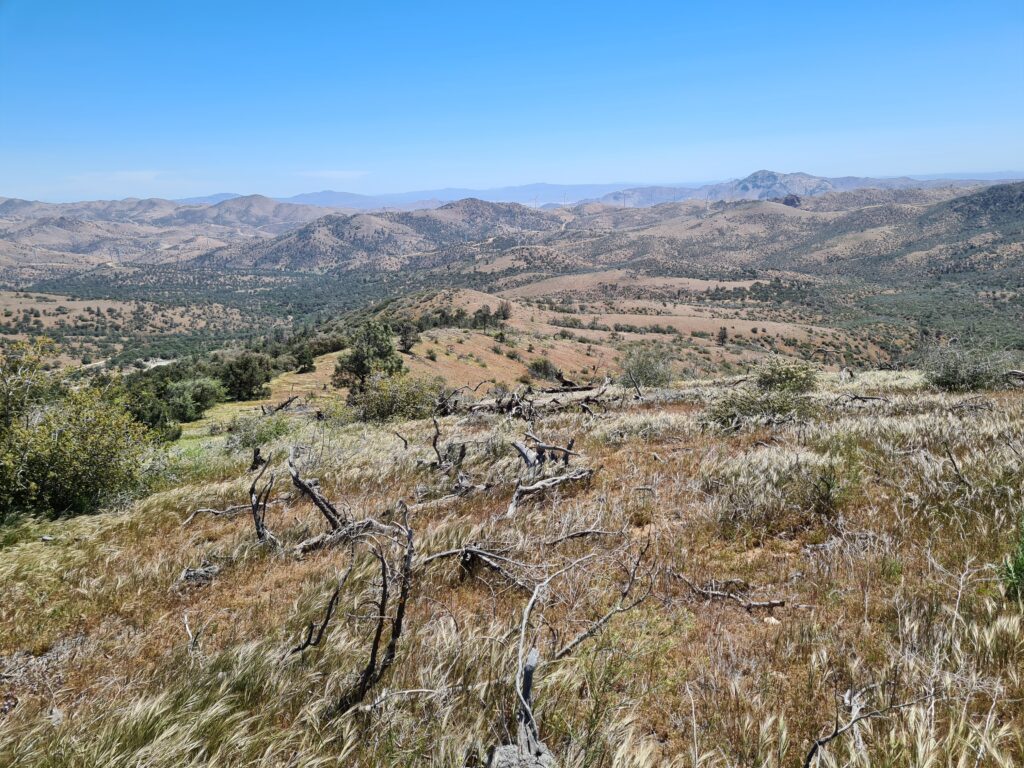 PCT Tag 34