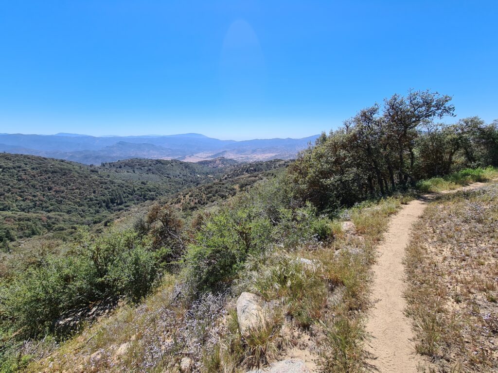 PCT Tag 34