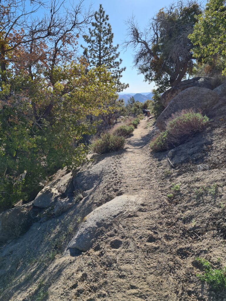 PCT Tag 35