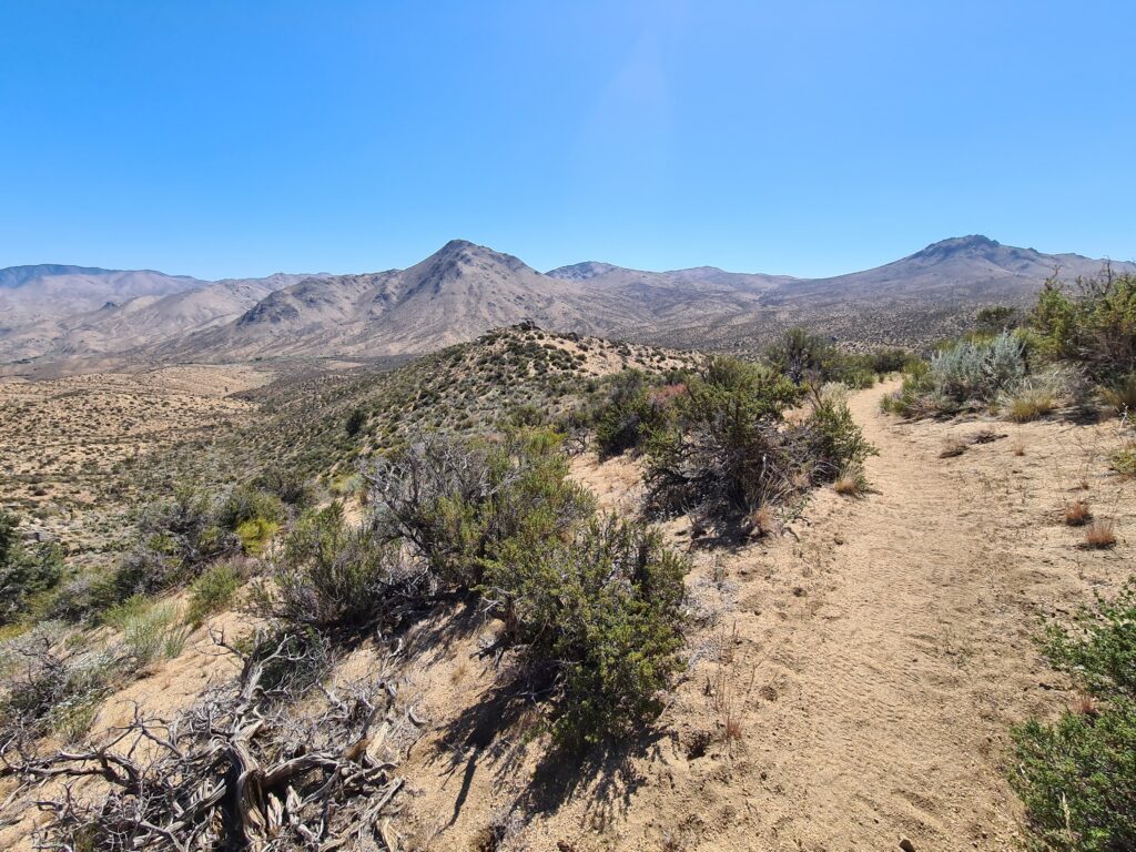 PCT Tag 35