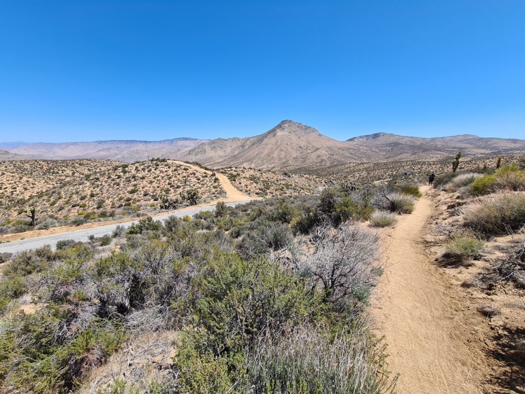 PCT Tag 35