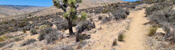 PCT Tag 35