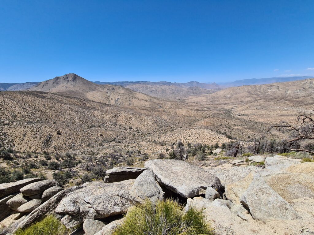 PCT Tag 35