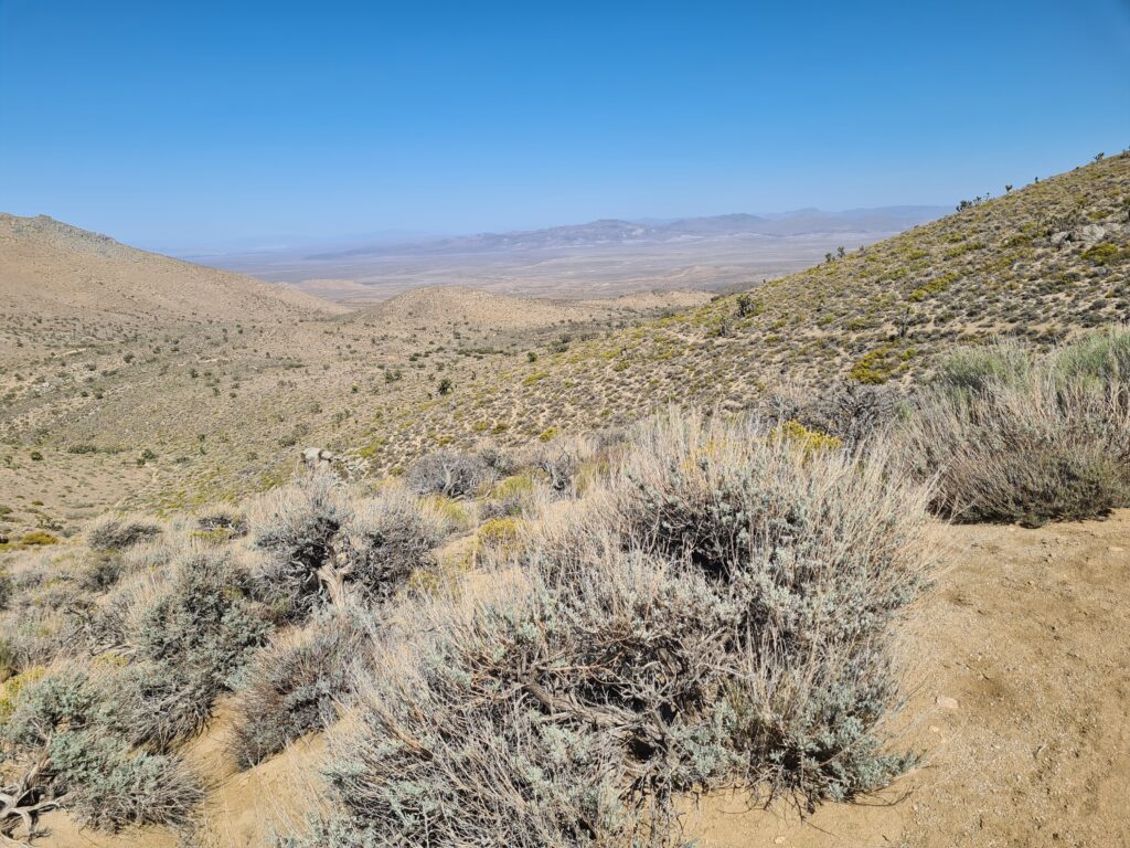 PCT Tag 35