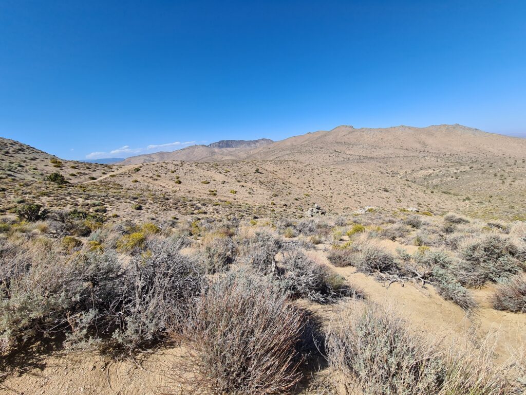 PCT Tag 35