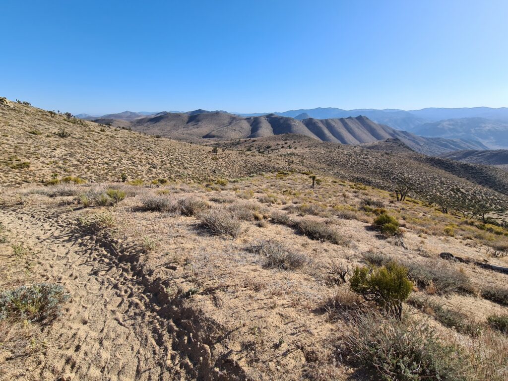 PCT Tag 35
