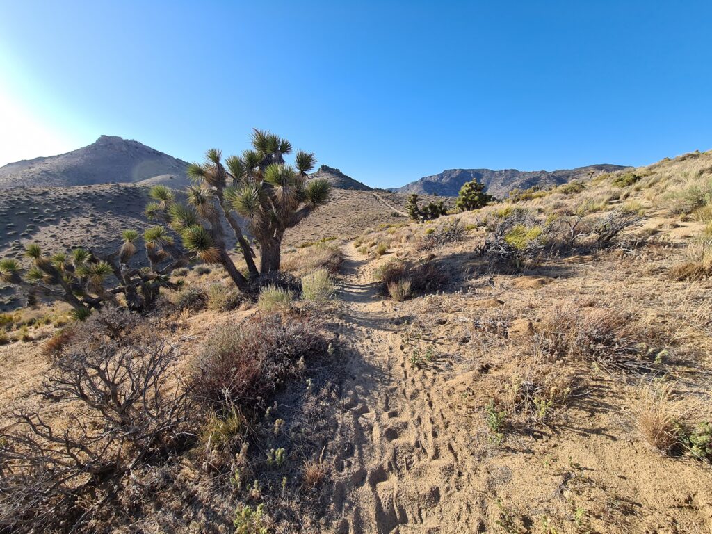 PCT Tag 35