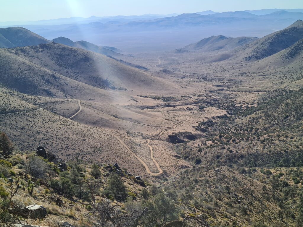 PCT Tag 36