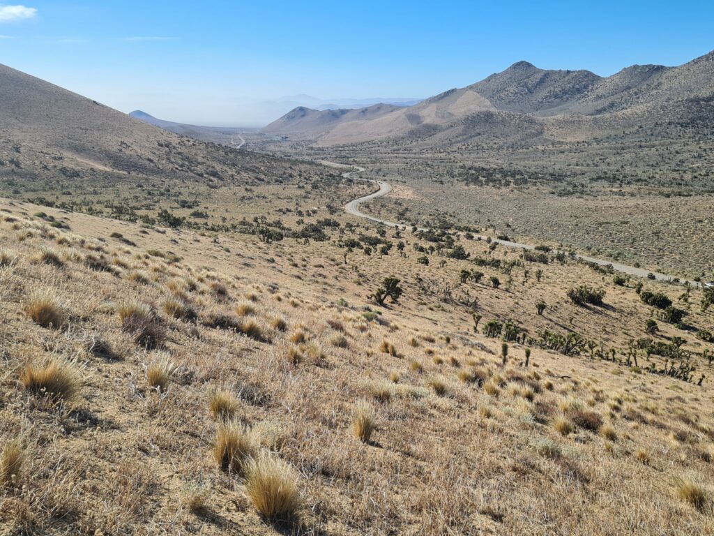 PCT Tag 37