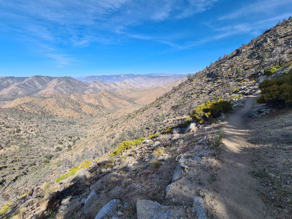 PCT Tag 37
