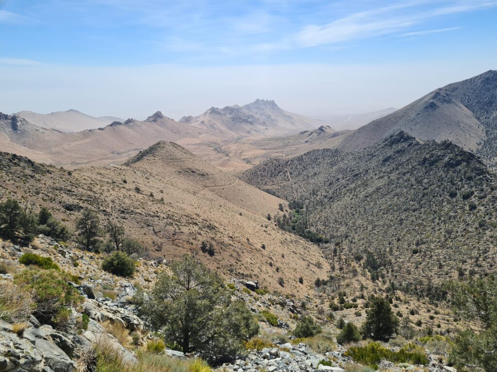PCT Tag 37