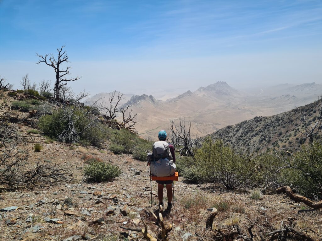 PCT Tag 37