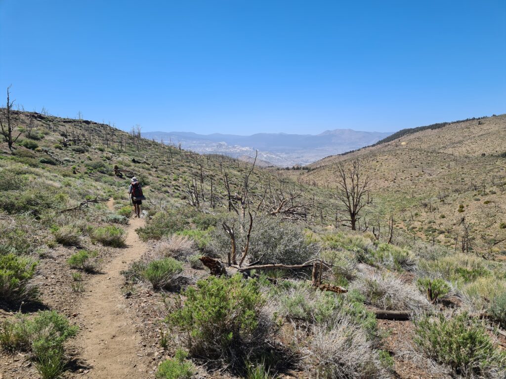 PCT Tag 38