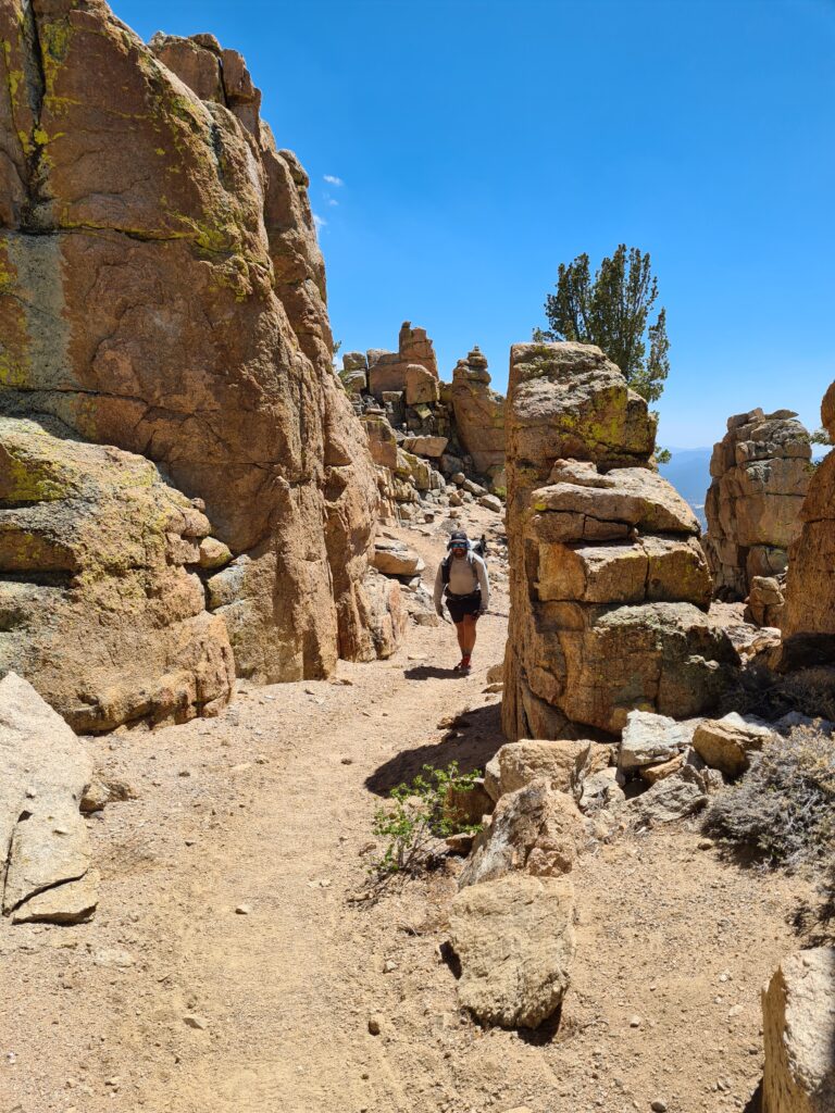 PCT Tag 42