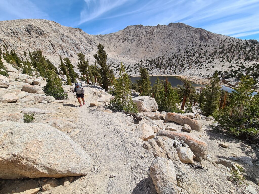 PCT Tag 43