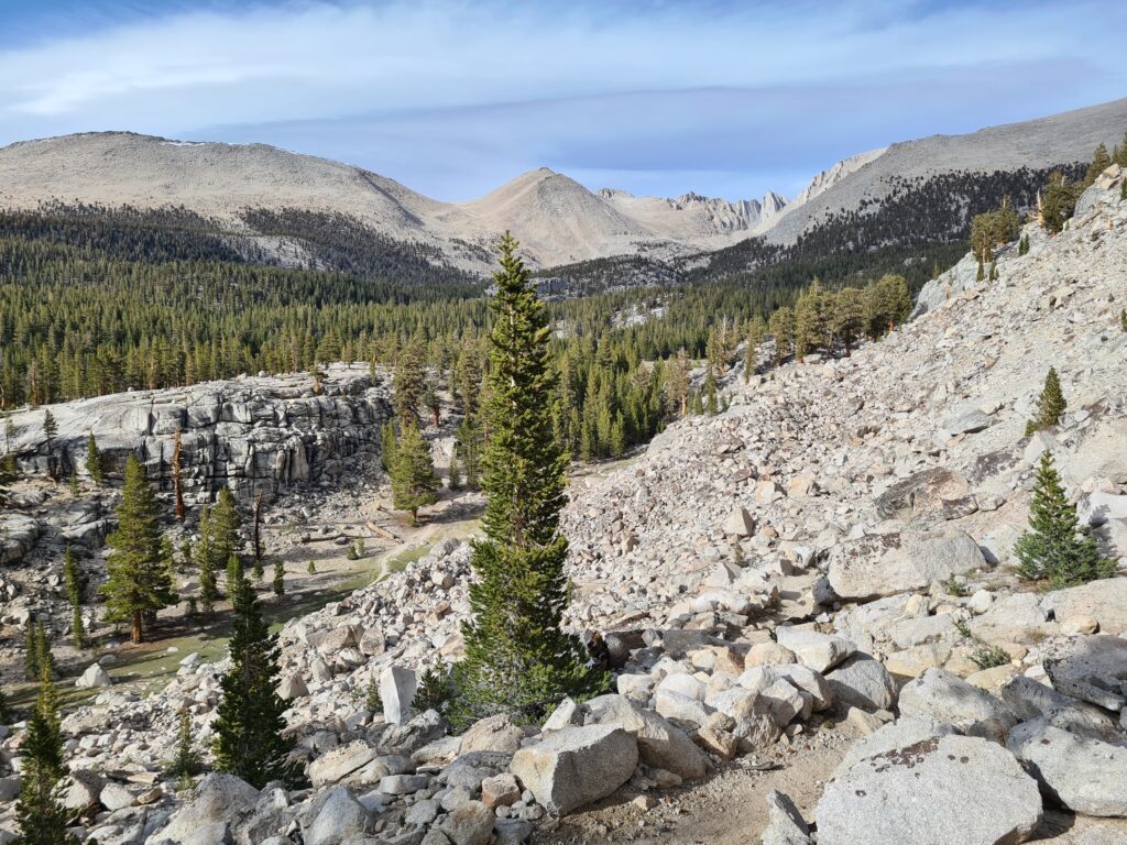 PCT Tag 43