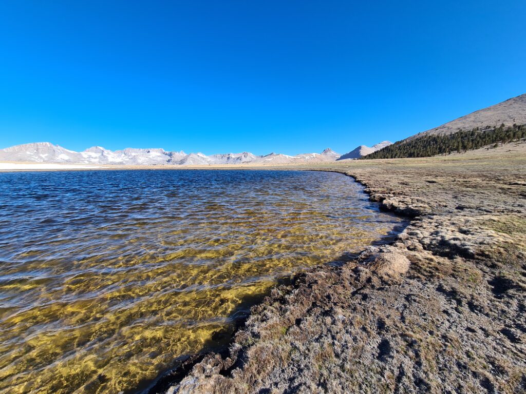 PCT Tag 45