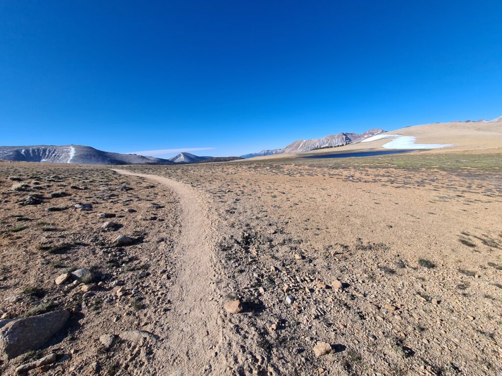PCT Tag 45