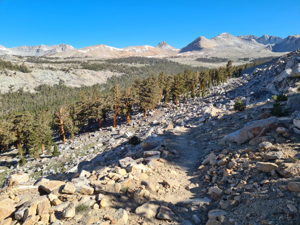 PCT Tag 45