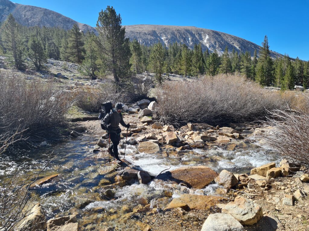 PCT Tag 45