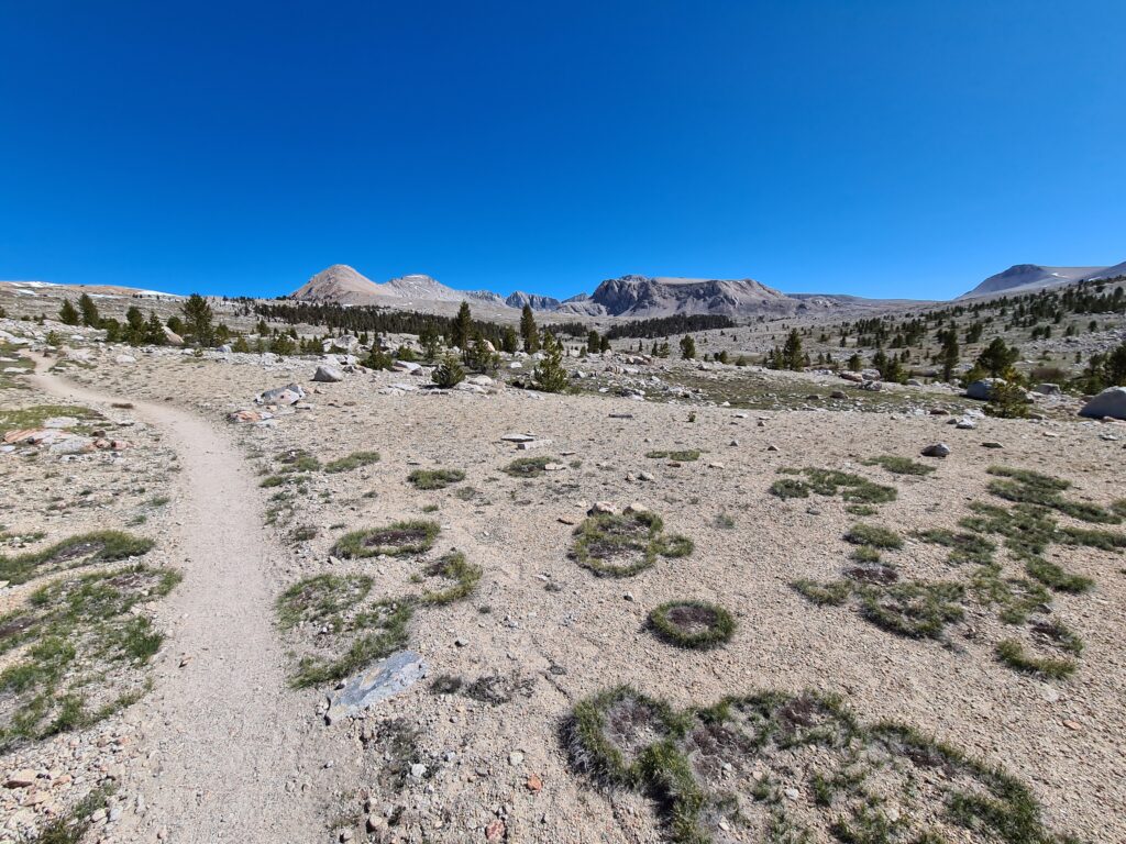 PCT Tag 45
