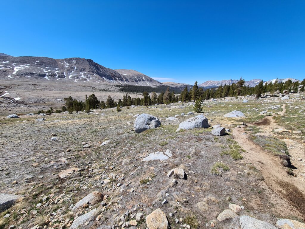 PCT Tag 45