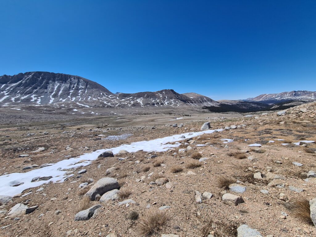 PCT Tag 45