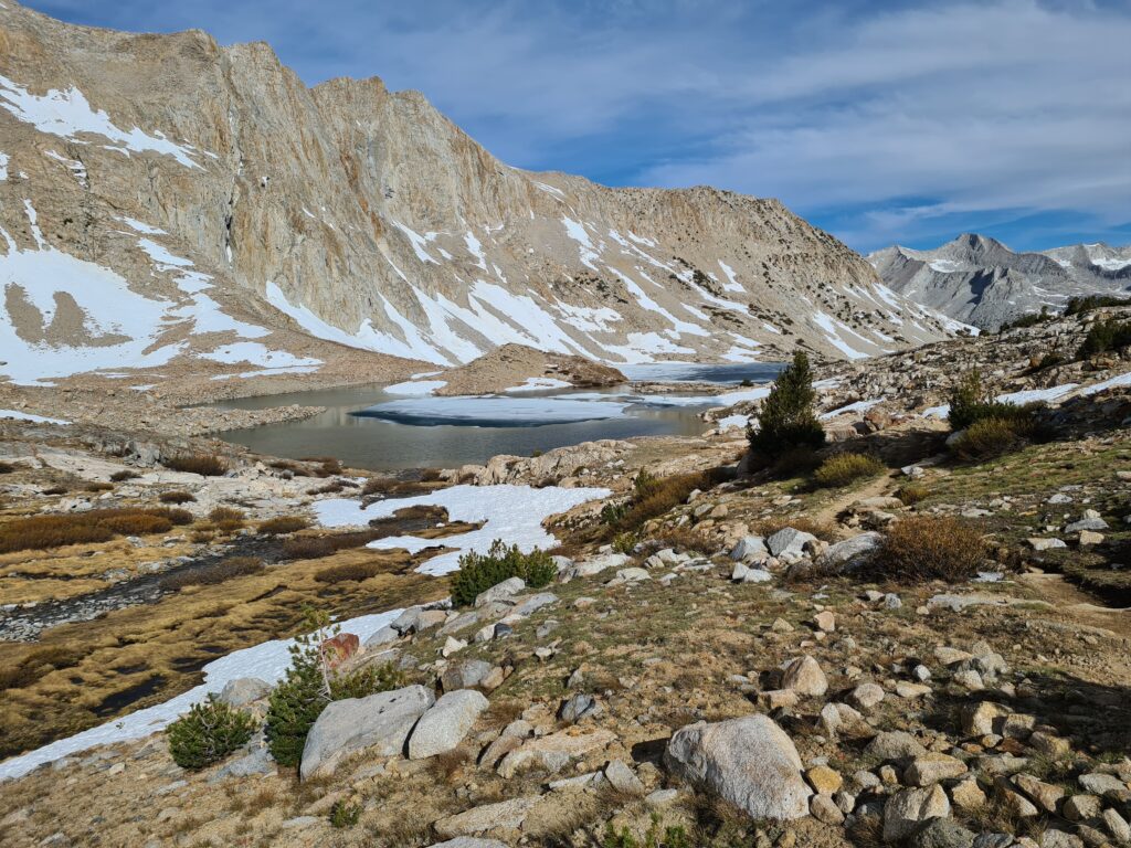 PCT Tag 49