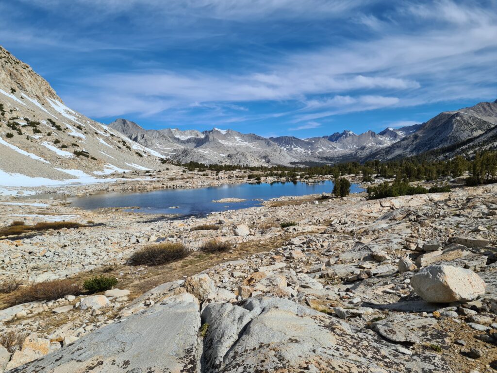 PCT Tag 49
