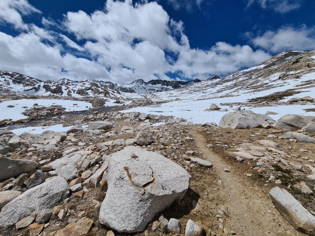 PCT Tag 51