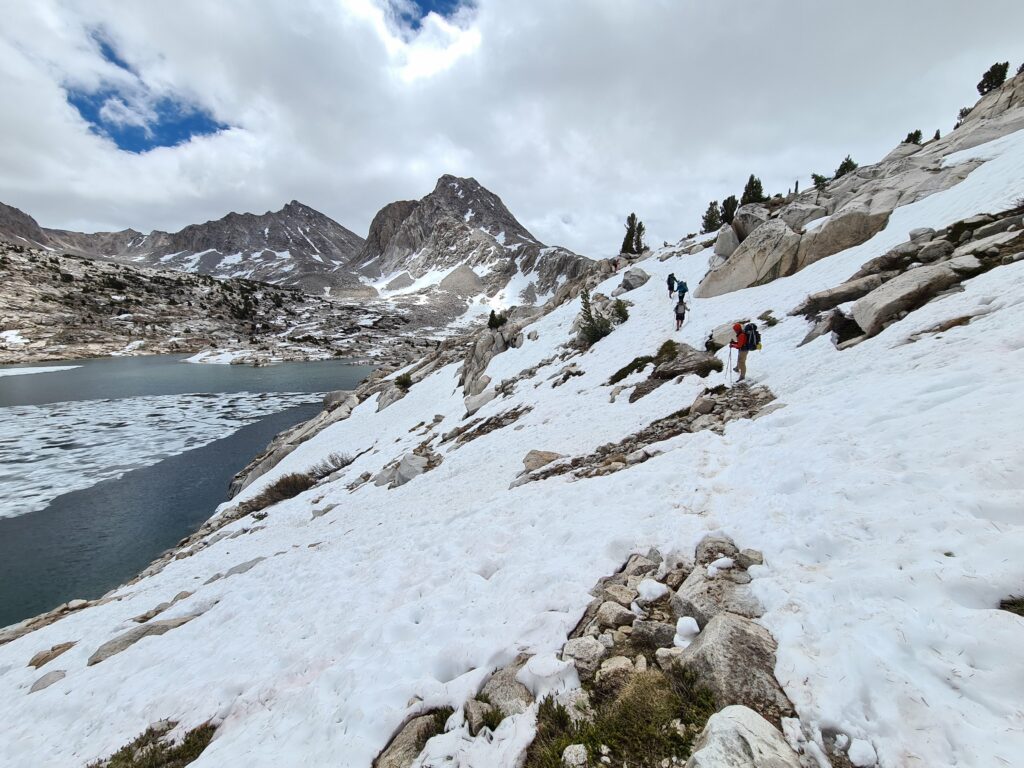 PCT Tag 51