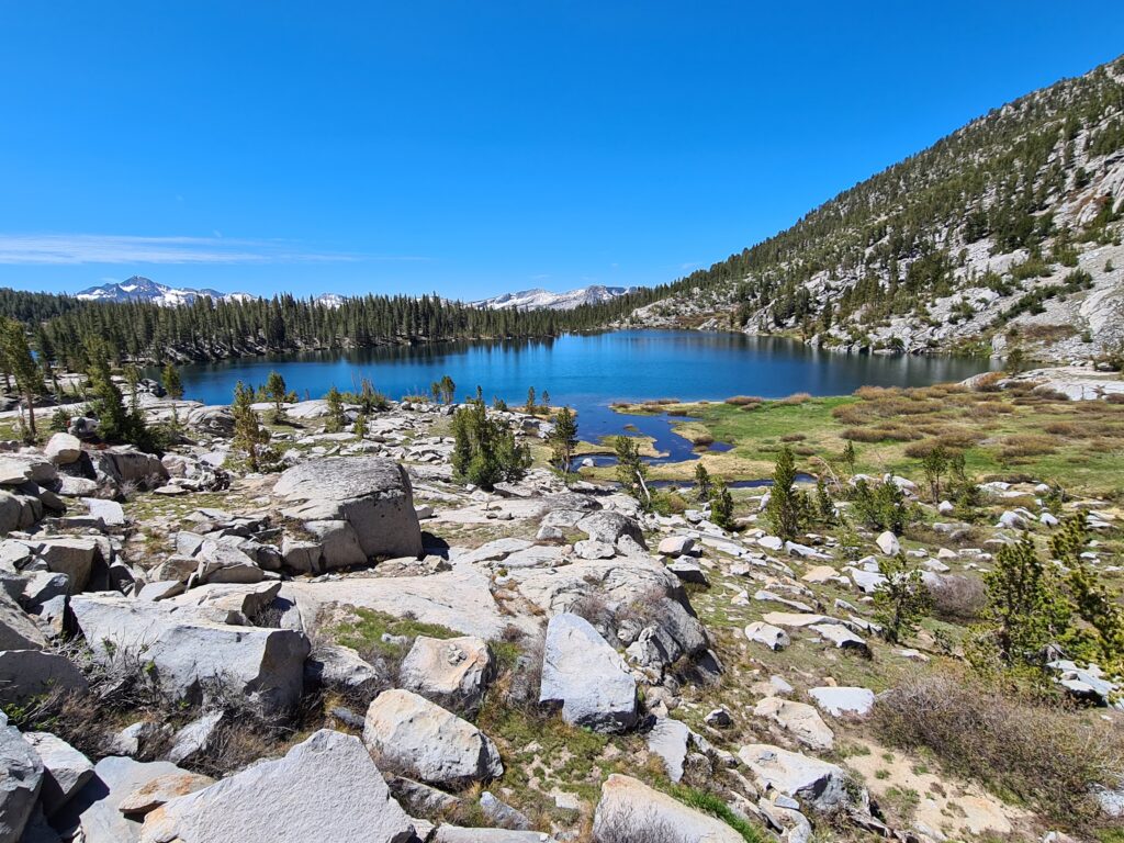 PCT Tag 52