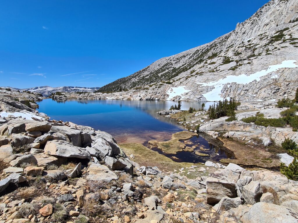 PCT Tag 52
