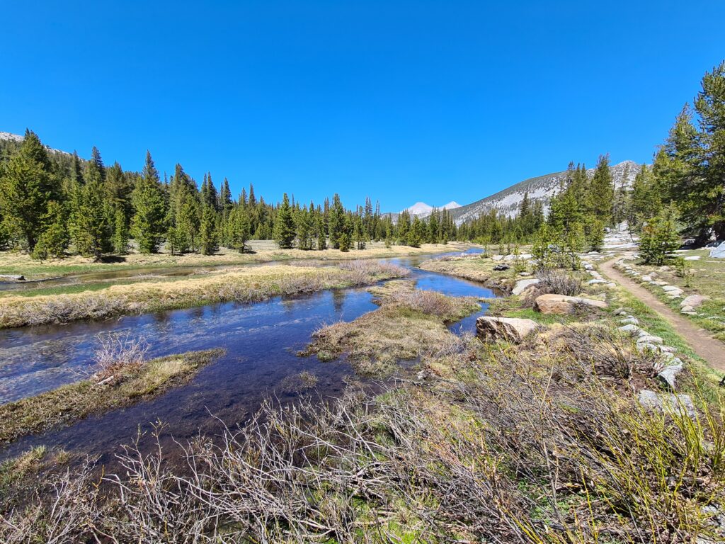 PCT Tag 52